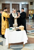 IMG_4994.jpg