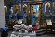IMG_5447.jpg